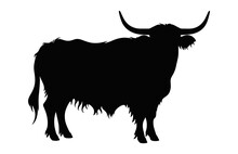 Highland Cattle Cow Silhouette Vector Isolated On A White Background