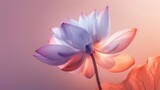 Fototapeta Motyle - Solitary Lotus Silhouette in Soft Peach to Lavender Pastel Gradient.