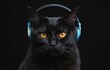Felidae Cat with headphones in darkness, listening with its sensitive ears