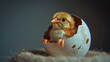 A baby yellow bird emerging from an egg, Yellow chick emerges from its eggshell, Newborn chicken hatching into the world