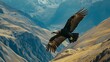 Andean Condor soaring in high mountain ranges