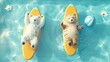 cute animals in the pool