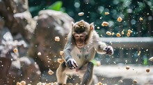 A Monkey Flinging Food In A Zoo Enclosure.