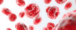 © Melanthe - Floating human blood cells in blood vessels or veins. Microscopic red blood cell and erythrocytes. Oncology, metastasis, cancerology, and microbiology. World donor day. Healthcare and medicine concept