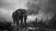 Animals endure silent agony in war's crossfires, losing homes to conflict and climate change, a dual blow to nature's purity.