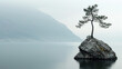 Lonely pine tree on cliff top on lake background, scenic view of mountains in summer, amazing landscape with misty rock and water. Concept of nature, outdoor, scene