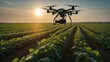 Agricultural drone flying over an agricultural field, scanning and analysing the crop. Smart agriculture, innovative technologies using artificial intelligence and 5G networks