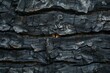 Dramatic dark charred wooden surface texture, full frame abstract background