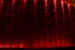 Raj Mandir Theater in Jaipur with illuminated red velvet looms