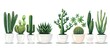 A row of houseplant cacti in flowerpots displayed on a white table, adding a touch of interior design to any room. These terrestrial plants are a mix of woody and grasslike textures