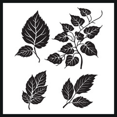 Wall Mural - Set Of Decorative Leaf Silhouette Graphics Element 