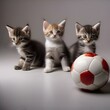 A trio of kittens with different coat patterns, chasing a rolling ball toy1