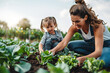 © neatlynatly - A woman and a child gardening together, planting vegetables in a sunny field.