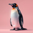 A high-resolution image of a king penguin on a pink background.