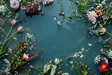 Fototapeta  - Flowers floating on water, frame background. Free space for text or greeting  