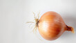 Whole onion with papery skin on white background. Layers visible, depth of flavor highlighted. Design for fundamental cooking role, flavor enhancer concept.
