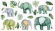 Adorable set of watercolor elephants, designed with a tropical theme, perfect for children's cards and invitations, presented on an isolated background.
