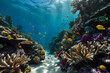 The symphony of underwear coral reefs and fishes