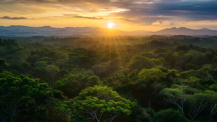 beautiful sunrise landscape scenery, madagascar rainforest, africa wilderness, nature background, wa