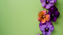 Stunning Purple And Orange Pansies Set Diagonally Against A Light Green Background For A Fresh Look