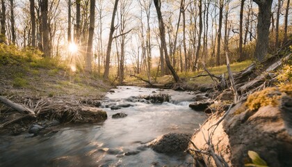 Wall Mural - creek in a spring forest