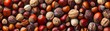 Nut and seed varieties a focus on texture and health benefits