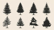© Matan - Christmas tree icon set. Vector illustration of pine silhouette