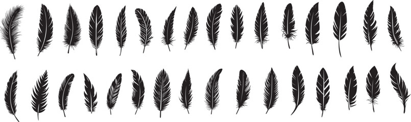 set of silhouettes of feather on transparent background