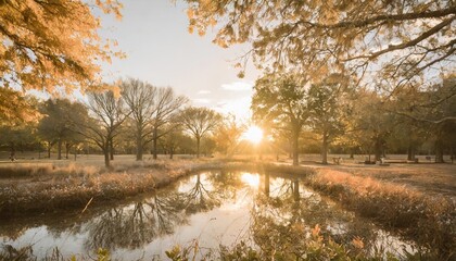 Wall Mural - autumn background located in dallas arboretum and botanical garden texas usa