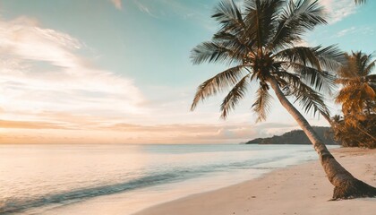 Wall Mural - tropical landscape background concept turquoise beach with palm tree