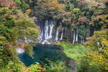 Wall Mural - shiraito falls in autumn season, fujinomiya, shizuoka prefecture, japan