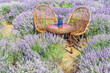 Chairs and table on lavender field