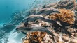 Underwater shot of a dolphin pod gliding effortlessly through coral reefs