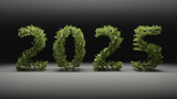 Fototapeta  - 2025 natural flyer for upcoming new year as 3D illustration