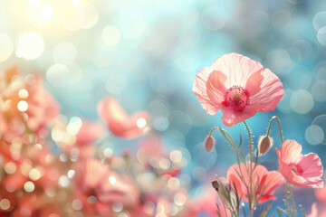 Poppy Flower Wallpaper in light pink and blue colors 