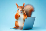 Fototapeta Przestrzenne - squirrel with laptop showing thumbs up on blue background