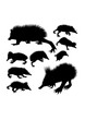 Lowland streaked tenrec animal silhouettes