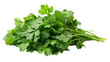 A bunch of Parsley isolated on transparent background