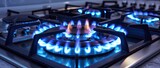 Fototapeta  - Take a closer peek at the gas cooker, its mesmerizing blue flame dancing gracefully as it brings culinary creations to life in the kitchen.