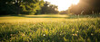 Beautiful nature landscape with green grass on the beautiful hills. Scenery meadow, glade, lawn, field with on sunlight. Summertime wallpaper. Panorama view. Generative ai 