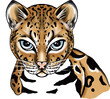 Young panther head illustration,Frontal View