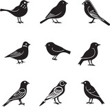 Fototapeta Dinusie - Birds thin line icons on white background