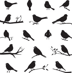 Wall Mural - Birds silhouette icons on white background