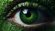 Green eye, green pupils, green eyes, eye color green