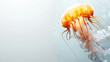 Delicate jellyfish floating serenely in a soft blue aquatic environment.