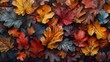 Vibrant collection of autumn leaves in a beautiful seasonal display