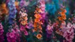 Tall Snapdragons in Vivid Hues A Fusion of Documentary Editorial and Magazine Photography