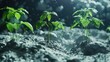 A closed lunar ecosystem simulation with moon rocks, lunar soil, and plants adapted to low gravity conditions, creating a futuristic extraterrestrial environment,