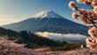 Fuji mountain landsapce. Travel and sightseeing in Japan on holiday. Sakura flower in spring and summer.