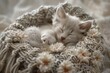 A serene kitten dozes, wrapped in a handmade pom-pom blanket